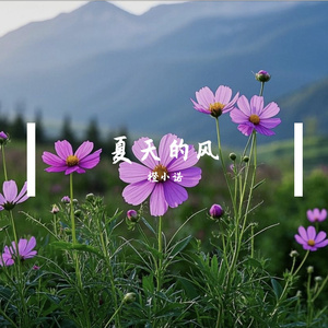 微醺夜的R&B浪漫曲