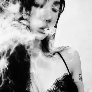 飞回来的鸽子一律按鸡处理