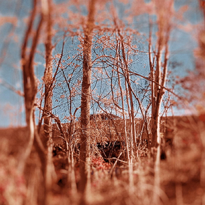 Out There, Somewhere