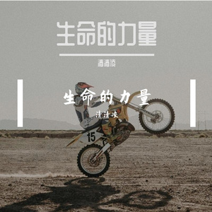 清清凌 - 生命的力量 伴奏