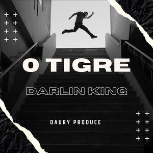 0 Tigre