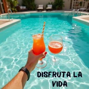 disfruta la vida