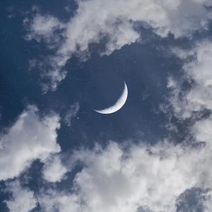 海绵宝宝 (cover: 麦小兜)