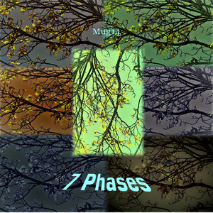 Phase 6