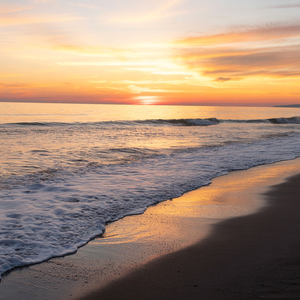 Under the Morning Sun