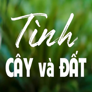 Dân Ca Cội Nguồn - Short Version 1