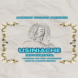 USINIACHE