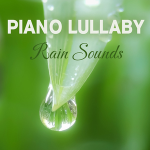 별똥별 (밤풀벌레소리+빗소리)