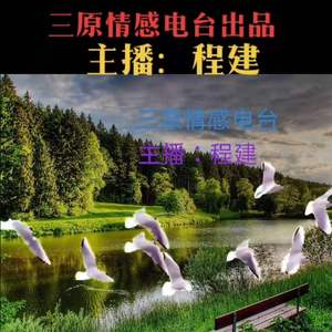 我愿纯音乐