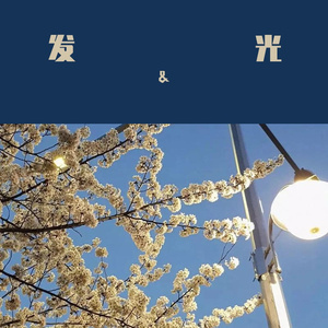 最长的梦