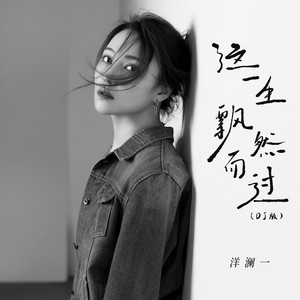 这一生飘然而过 (DJBanan版)