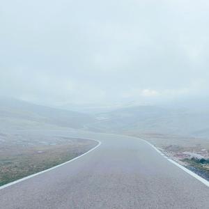 Niebla Melosa