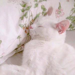 牧马城市（cover毛不易）