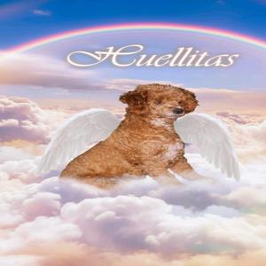 Huellitas