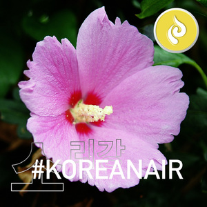 무궁화 삼천리 화려강산