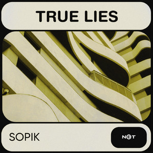 True Lies (Original Mix)
