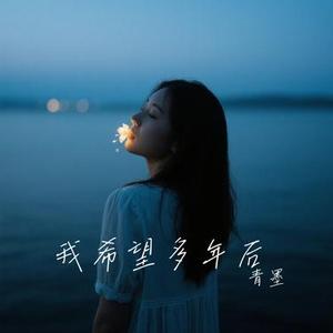 我希望多年后 (Remix)