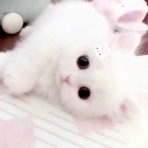 李萌怡and金馨怡
