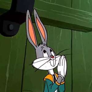 Lovely Rabbit 可爱兔兔