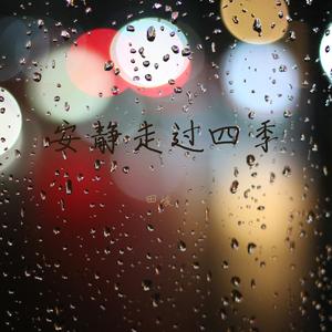 安静走过四季