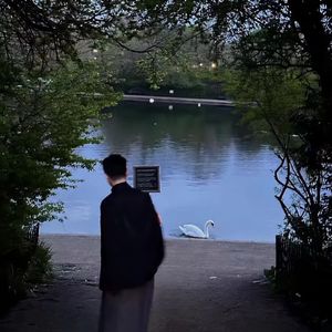 仿佛是心中的期望