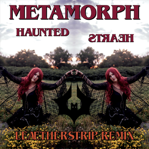 Haunted Hearts (Leæther Strip Remix)