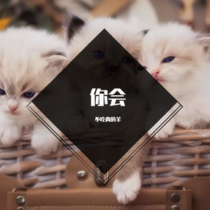 程度
