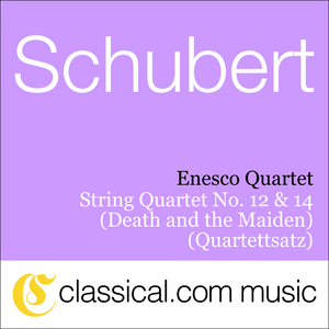 String Quartet No. 14 in D minor, D. 810 (Death and the Maiden) - Scherzo: Allegro Molto