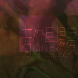 若你是场梦