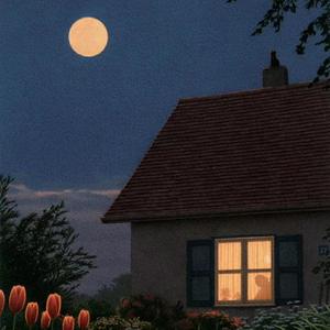 今天是你的生日 妈妈