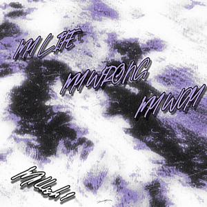 My Life My Wrong My Way