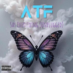 Say Everything (Unplugged )