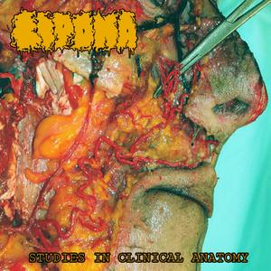 Surgeon General of Beverly Hills