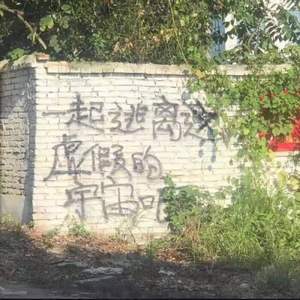 与你出逃另一个星球是我私有的浪漫