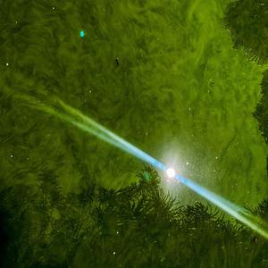 Thaaaaaaat Almighty Listening (live at The Green Corridor) (Live)