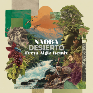 DESIERTO (Freya Algiz remix)