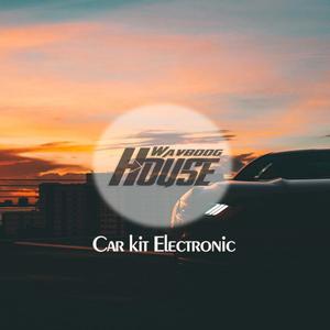 地狱猫黑武士Bass NO.1