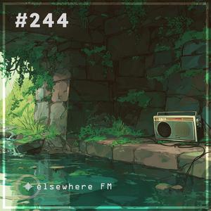 #244 moss circuit