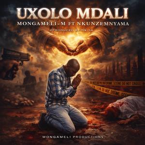 UXOLO MDALI (feat. NKUNZEMNYAMA) (Radio Edit)