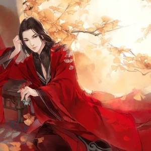 沉浮谱（翻自 慕寒）