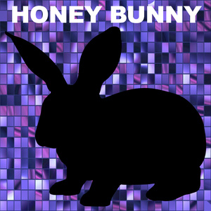 Berserkr (Honey Bunny Remix)