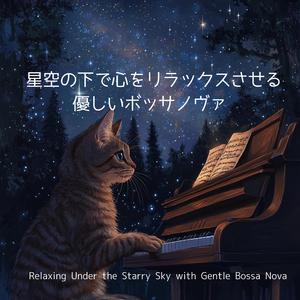 夕焼けの海辺でリラックス / Relaxing by the Sunset Beach