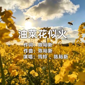 油菜花似火（伴奏）