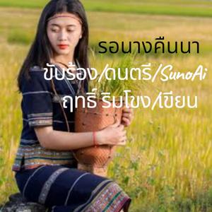 รอนางคืนนา