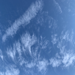 まどろむしあわせ