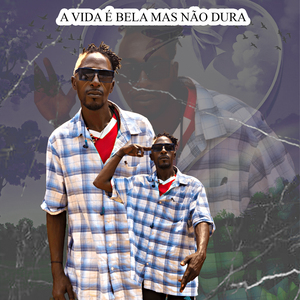 Colabora