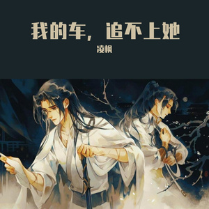 我的车，追不上她