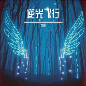 逆光飞行