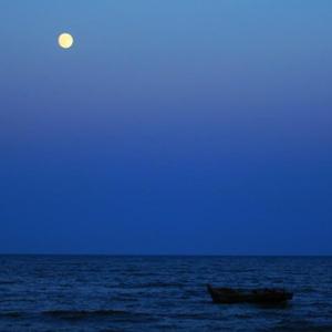 我多希望这个姑娘不是你