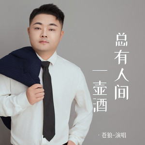 总有人间一壶酒